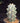 16171725