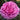 24103563