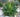 28882233