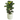 36006197