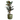 36006201