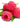 38508578