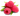 38509159