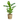 39359586