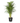 39359577