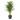 39359577