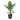 39359579
