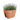 39360508