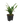 39362320