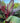 48008759