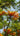 49493181