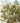 49493696