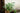49493882