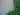 Rhyncospermum Jasminoides (Falso Gelsomino) 1 Canna Vaso 30 H.300/350 - su muro - Vivaio Garden Forest (50305238)