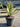 Agave Angustifolia Vaso 60 Classic - Vivaio Garden Forest