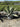 Agave Ferox Vaso 60 - Vivaio Garden Forest