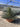 Agave Geminiflora Ciotola 40 - Vivaio Garden Forest