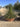 Agave Geminiflora Ciotola 50 - Vivaio Garden Forest
