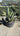 Agave Salmiana Vaso 60 - Vivaio Garden Forest