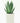 Aloe Safari Sunrise Vaso 18 - pianta adulta - Vivaio Garden Forest (48047876)