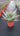 Aloe Ferox (Aloe Feroce) Vaso 24 - Vivaio Garden Forest (48283734)