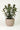 Sottocassetta Naturalia SNC 55 cm (49156554)