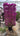 Bougainvillea Sanderiana Spall 55 L 100 H 200 - Vivaio Garden Forest