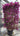 Bougainvillea Sanderiana Spall 60 Lt 90 L 120 H 190 - Vivaio Garden Forest