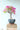 Bougainvillea Multicolor (Buganvillea) Bonsai Vaso 75 - pianta adulta - Vivaio Garden Forest (48047929) (48283740)