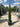 Cupressus Sempervirens Totem Vaso 24 - Vivaio Garden Forest