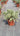 Echium Fastuosum (Viperina DI Madera) Vaso 24 - Vivaio Garden Forest (48283803)