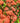 Ixora Coccinea Vaso 24 - pianta adulta - Vivaio Garden Forest (48048271)
