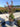 Lagerstroemia Indica Cesp 24 Dynamite E Q - Vivaio Garden Forest