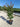 Lagerstroemia Indica Cesp 30 Dynamite - Vivaio Garden Forest