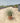 Muhelembergia Capillaris Vaso 24 - Vivaio Garden Forest (48048310)