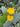 Opuntia Ficus Indica (Fico D'India) Vaso 60 Lt.90 - fioritura - Vivaio Garden Forest (50305231)