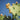 Opuntia Ficus Indica (Fico D'India) Vaso 60 Lt.90 - frutti - Vivaio Garden Forest (50305230)