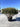 Osmanthus X Burkwoodii Multitronco 80 - Vivaio Garden Forest