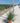 Pennisetum Alopecuroides (Coda DI Volpe) Vaso 24 - Vivaio Garden Forest (48283848)