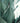 Agave Ferox Vaso 60 - Vivaio Garden Forest (47844221)