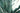 Agave Ferox Vaso 60 - Vivaio Garden Forest