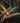 Strelitzia Reginae Vaso 45 - Vivaio Garden Forest (47844654)