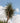 Yucca Flaccida Golden Sword Vaso 24 - Vivaio Garden Forest (47844733)