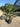 Trachycarpus Fortunei Vaso 30 H Tr 20 30 Lt 18 - Vivaio Garden Forest
