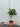 13796014