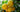 13796676