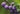 13795142