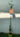 13796170