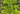 13794419